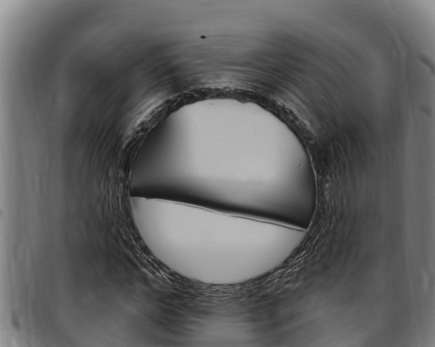 X0000097510968200802220901