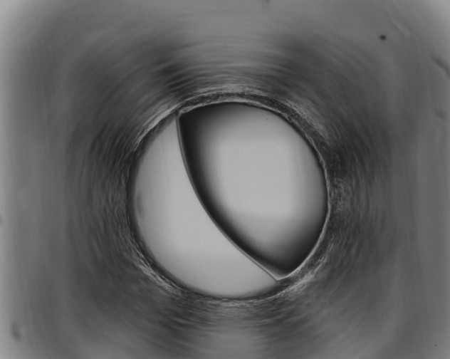 X0000097510969200802220901
