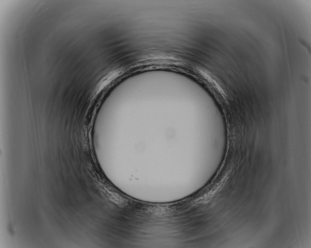 X0000097510970200802220901