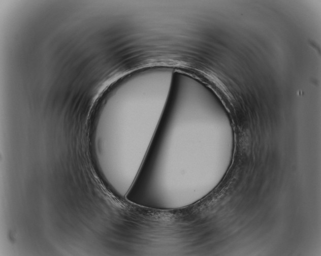 X0000097510971200802220901