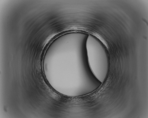 X0000097510972200802220901