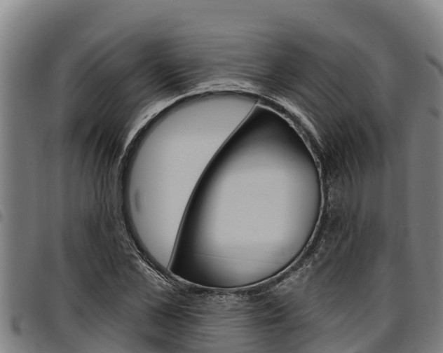 X0000097510973200802220901