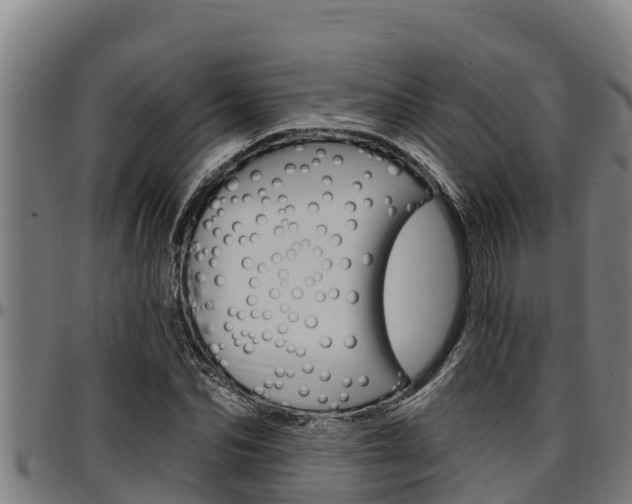 X0000097510974200802220901