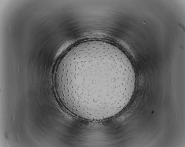 X0000097510978200802220901