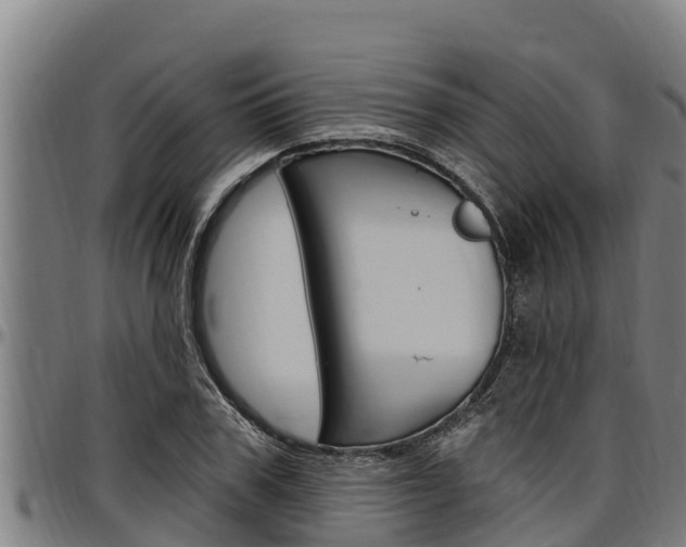 X0000097510979200802220901