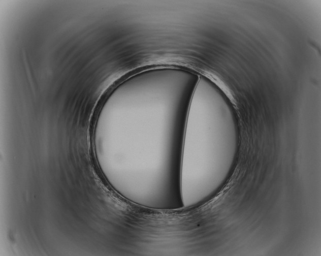 X0000097510980200802220901