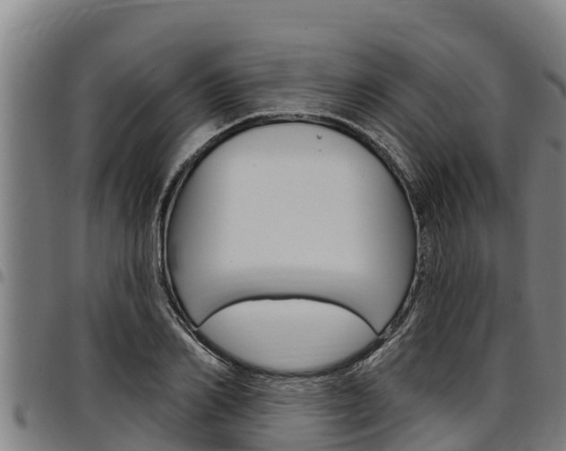 X0000097510982200802220901