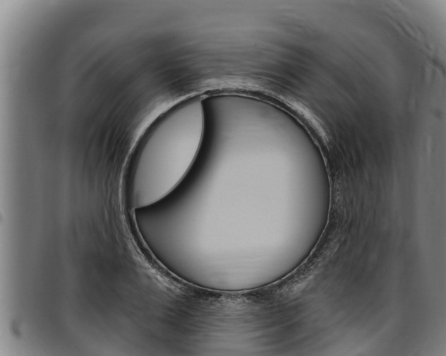X0000097510983200802220901