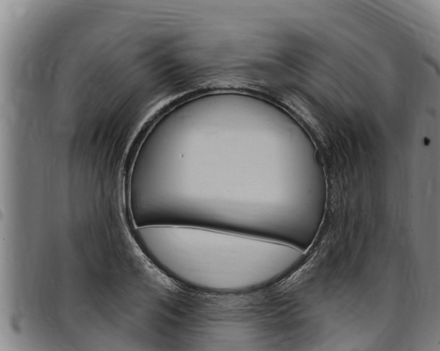 X0000097510984200802220901