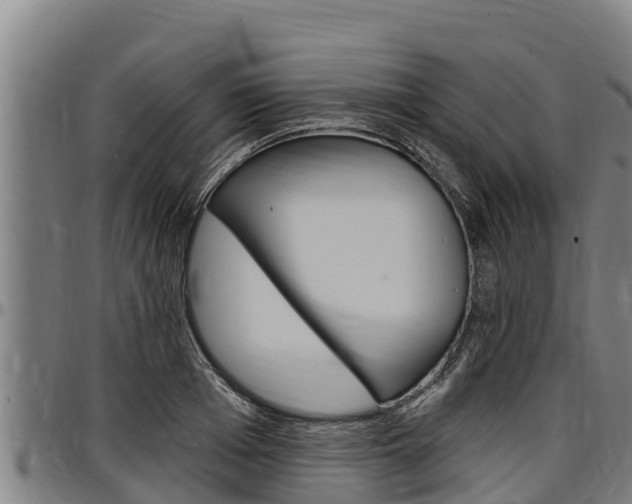 X0000097510985200802220901