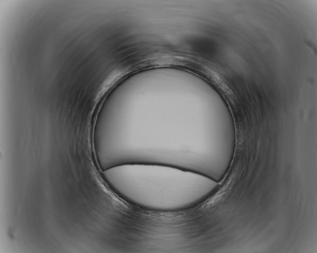 X0000097510986200802220901