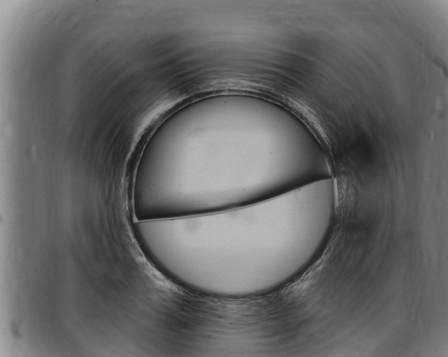 X0000097510987200802220901