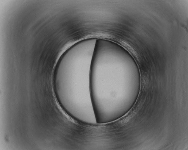 X0000097510989200802220901