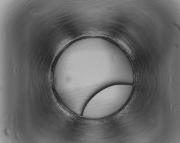 X0000097510990200802220901