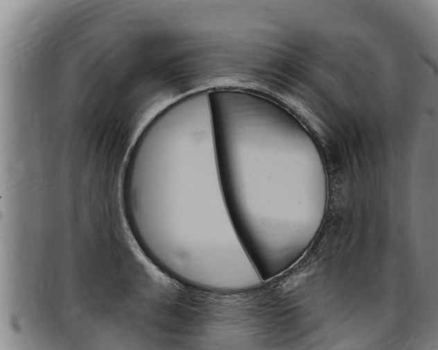 X0000097510991200802220901