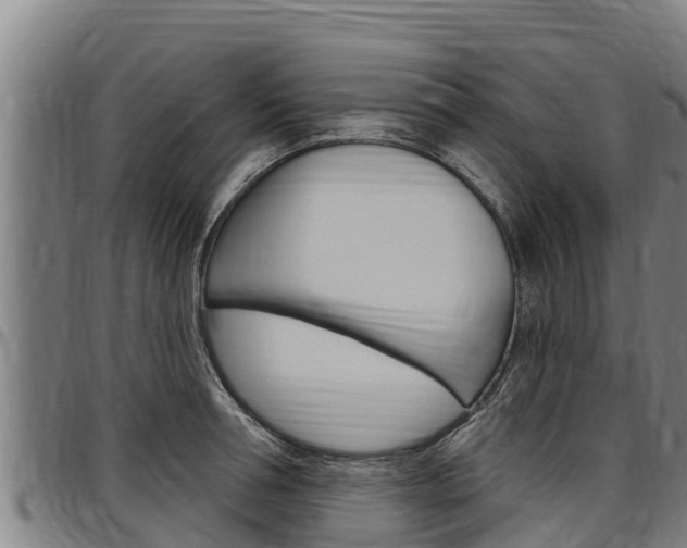 X0000097510994200802220901