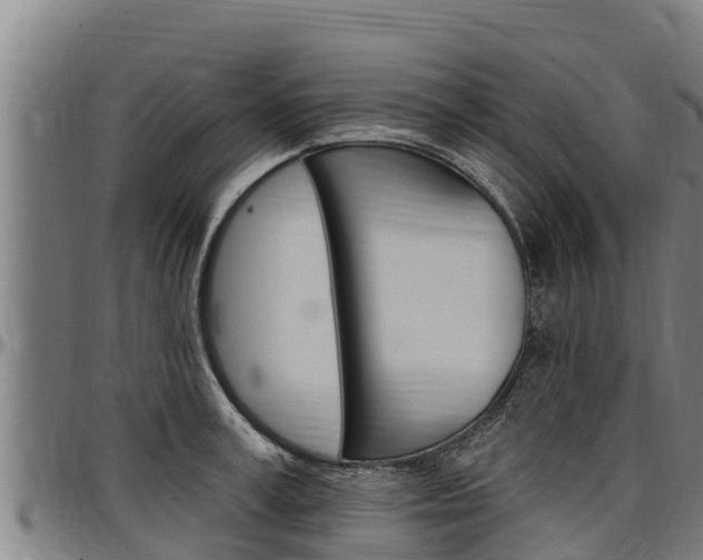 X0000097510995200802220901