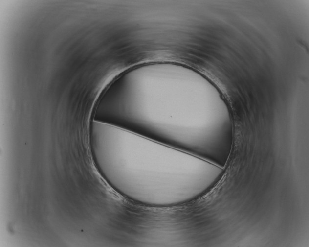 X0000097510996200802220901