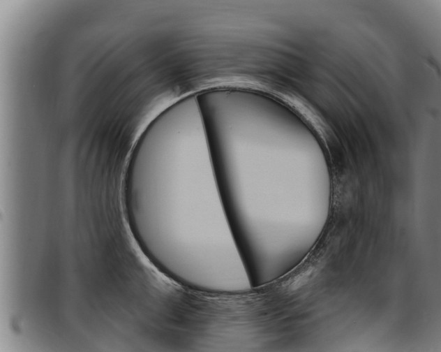 X0000097510999200802220901
