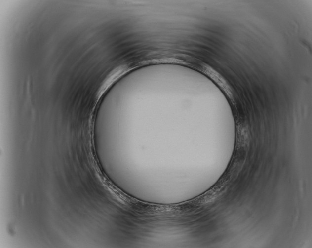 X0000097511002200802220901