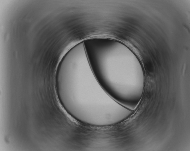 X0000097511005200802220901