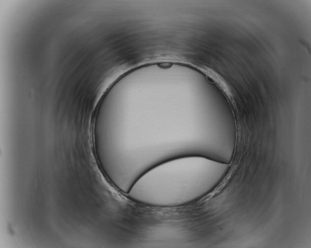 X0000097511006200802220901