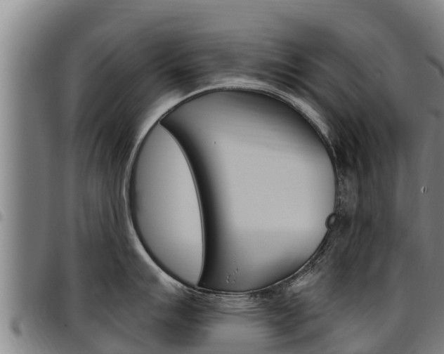 X0000097511007200802220901