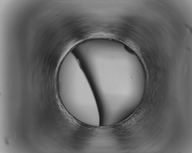 X0000097511008200802220901