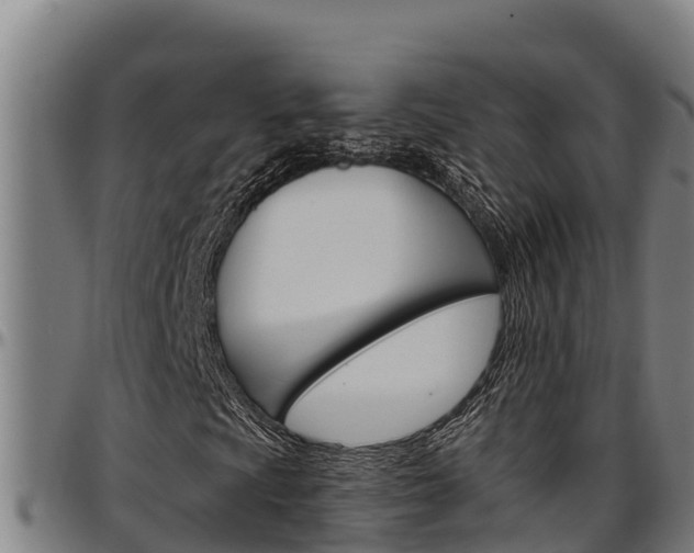 X0000097511009200802220900