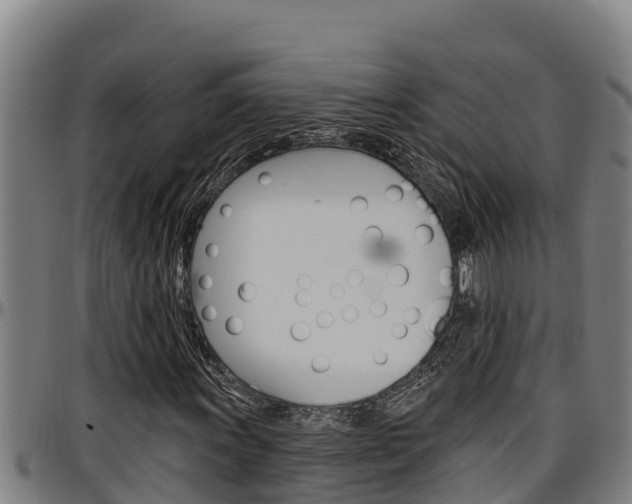X0000097511011200802220900