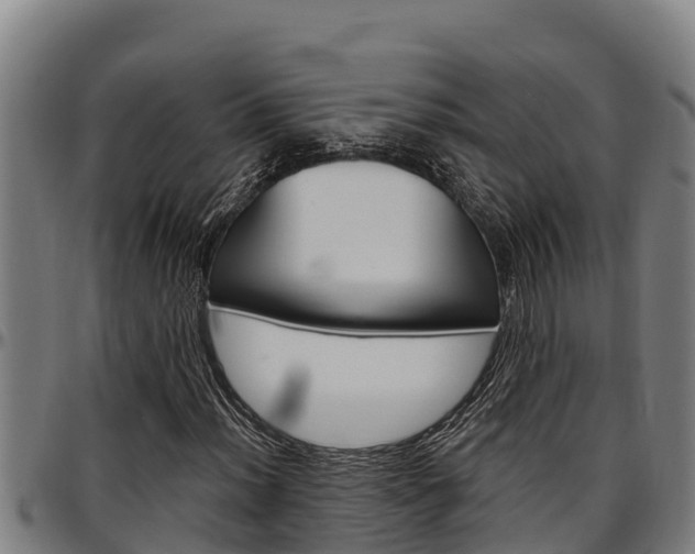 X0000097511012200802220900