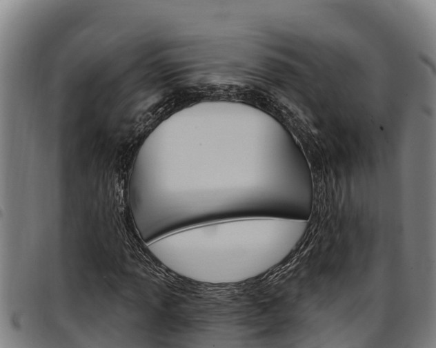 X0000097511013200802220900