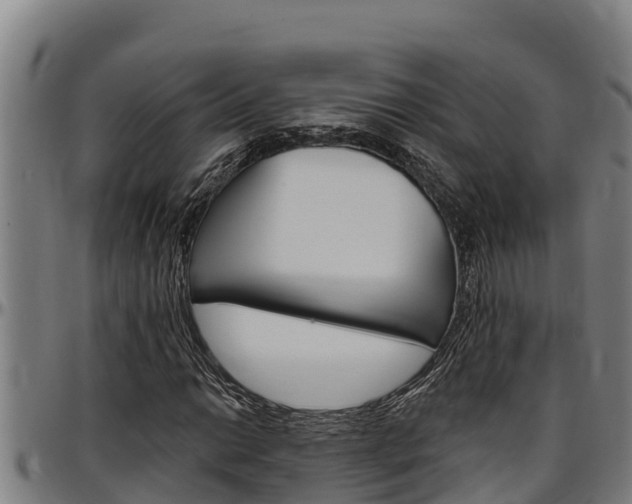 X0000097511014200802220900