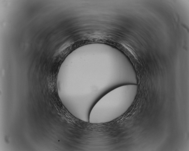 X0000097511015200802220900