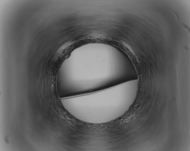 X0000097511016200802220900