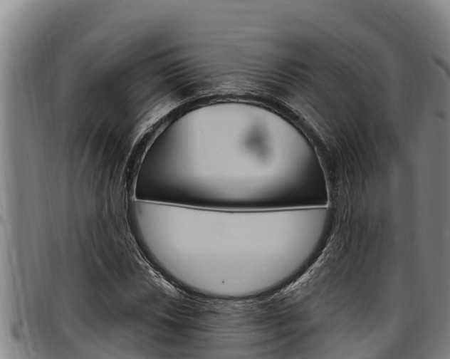 X0000097511018200802220900