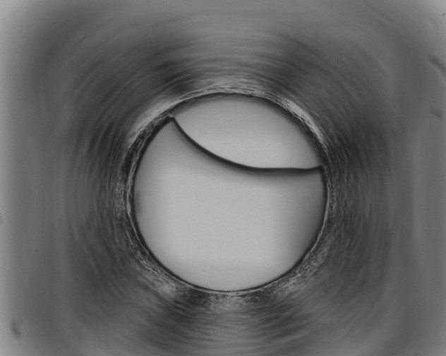X0000097511019200802220900