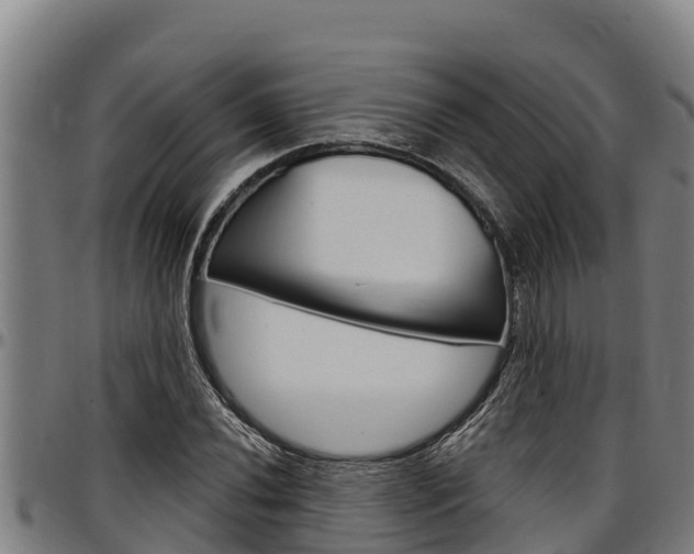 X0000097511020200802220900