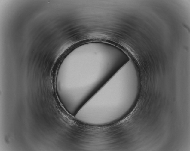X0000097511022200802220900