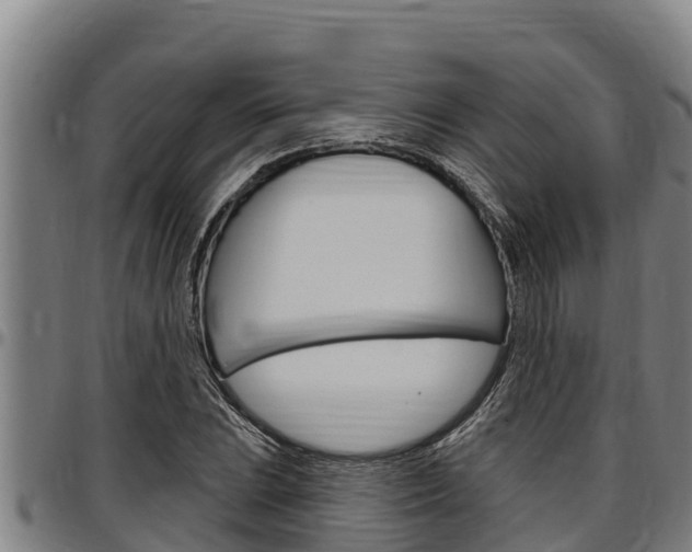 X0000097511023200802220900