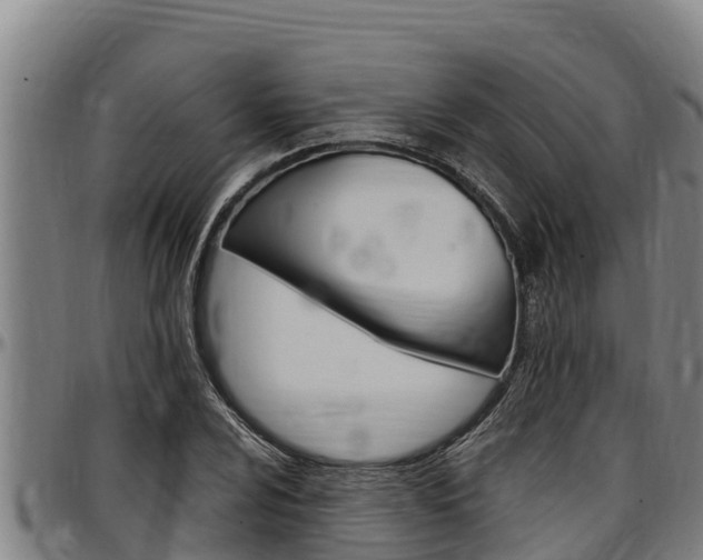 X0000097511024200802220900