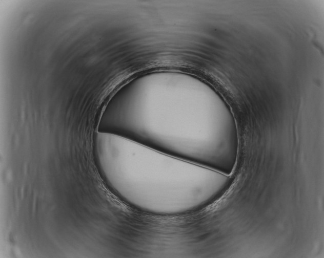 X0000097511025200802220900