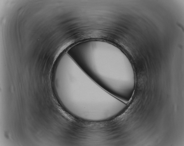 X0000097511026200802220900