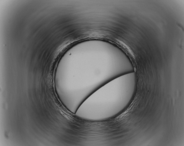 X0000097511027200802220900
