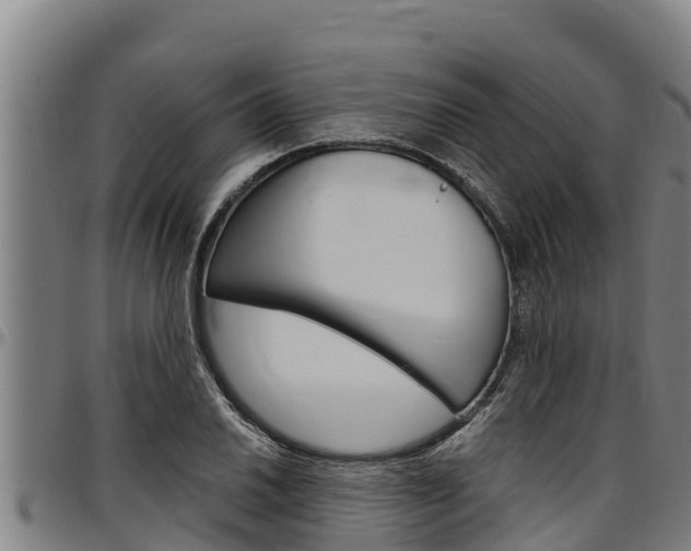 X0000097511030200802220900