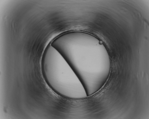 X0000097511032200802220900