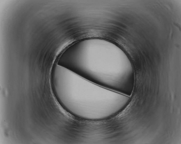 X0000097511034200802220900