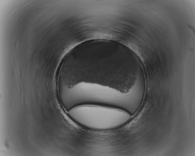 X0000097511037200802220900