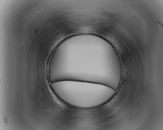 X0000097511039200802220900
