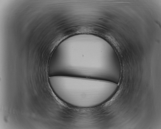 X0000097511041200802220900
